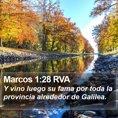 Marcos 1:28 RVA Bible Verse Image