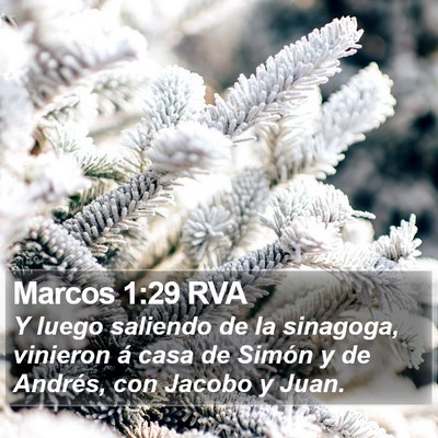 Marcos 1:29 RVA Bible Verse Image