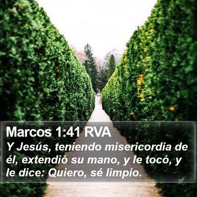 Marcos 1:41 RVA Bible Verse Image