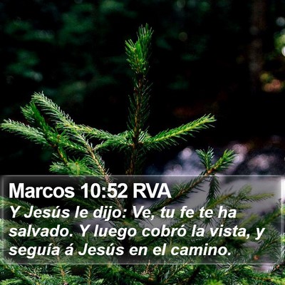 Marcos 10:52 RVA Bible Verse Image