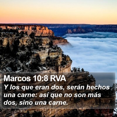 Marcos 10:8 RVA Bible Verse Image