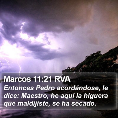 Marcos 11:21 RVA Bible Verse Image