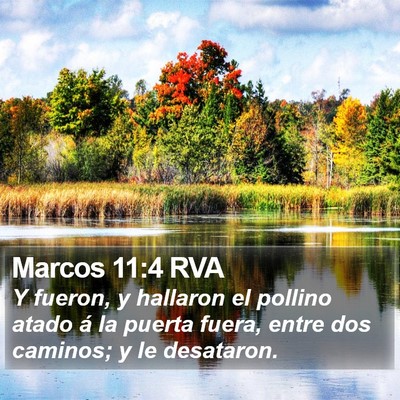 Marcos 11:4 RVA Bible Verse Image