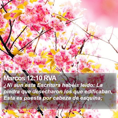 Marcos 12:10 RVA Bible Verse Image
