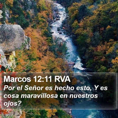 Marcos 12:11 RVA Bible Verse Image