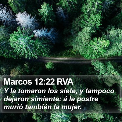 Marcos 12:22 RVA Bible Verse Image