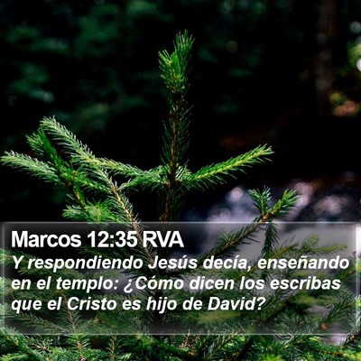 Marcos 12:35 RVA Bible Verse Image