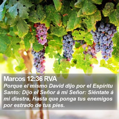 Marcos 12:36 RVA Bible Verse Image