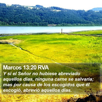 Marcos 13:20 RVA Bible Verse Image