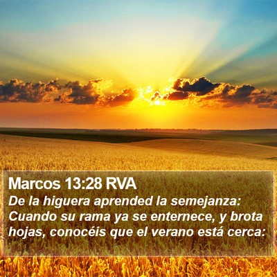 Marcos 13:28 RVA Bible Verse Image