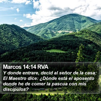Marcos 14:14 RVA Bible Verse Image
