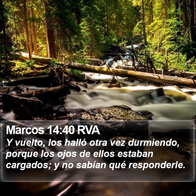 Marcos 14:40 RVA Bible Verse Image
