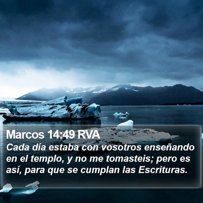 Marcos 14:49 RVA Bible Verse Image