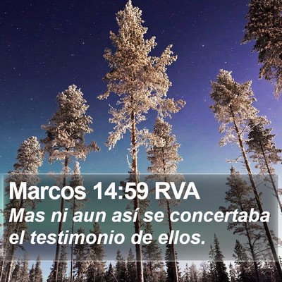 Marcos 14:59 RVA Bible Verse Image
