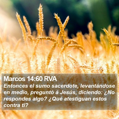 Marcos 14:60 RVA Bible Verse Image