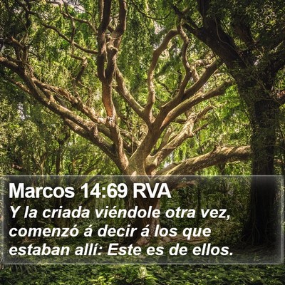 Marcos 14:69 RVA Bible Verse Image