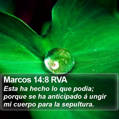 Marcos 14:8 RVA Bible Verse Image