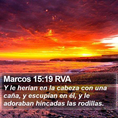 Marcos 15:19 RVA Bible Verse Image
