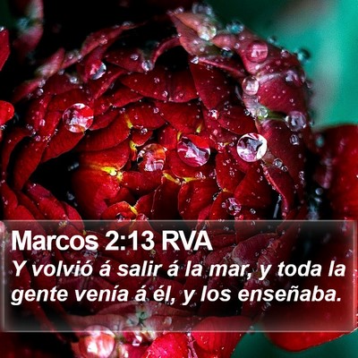 Marcos 2:13 RVA Bible Verse Image