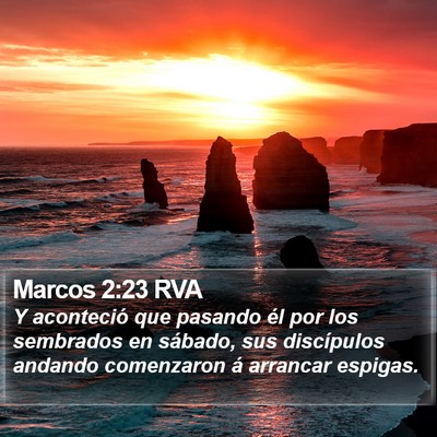 Marcos 2:23 RVA Bible Verse Image