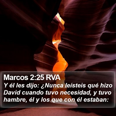 Marcos 2:25 RVA Bible Verse Image