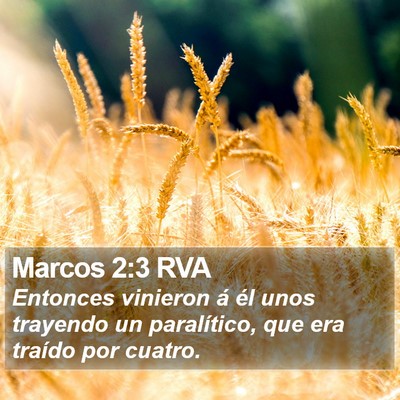 Marcos 2:3 RVA Bible Verse Image