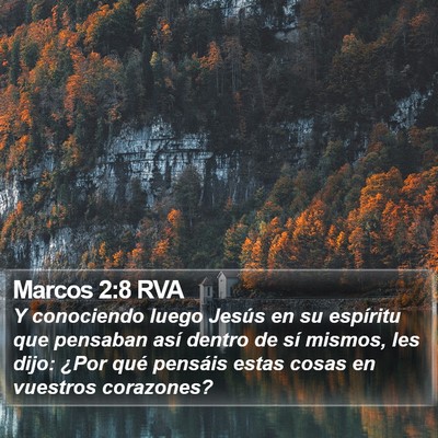 Marcos 2:8 RVA Bible Verse Image