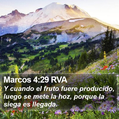 Marcos 4:29 RVA Bible Verse Image