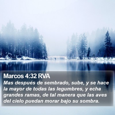 Marcos 4:32 RVA Bible Verse Image