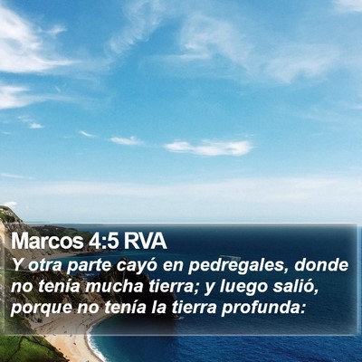 Marcos 4:5 RVA Bible Verse Image