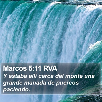 Marcos 5:11 RVA Bible Verse Image