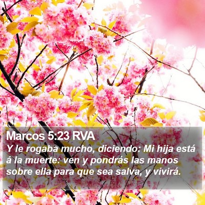 Marcos 5:23 RVA Bible Verse Image