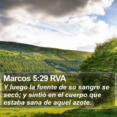 Marcos 5:29 RVA Bible Verse Image