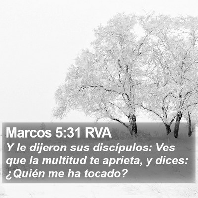 Marcos 5:31 RVA Bible Verse Image