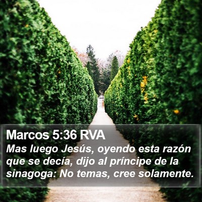 Marcos 5:36 RVA Bible Verse Image