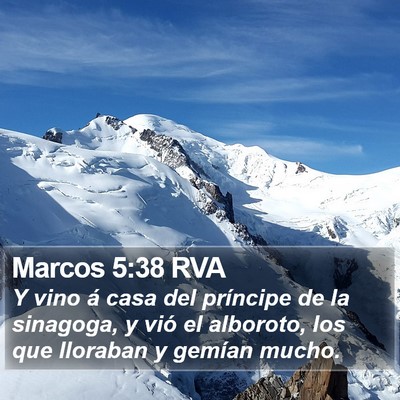 Marcos 5:38 RVA Bible Verse Image