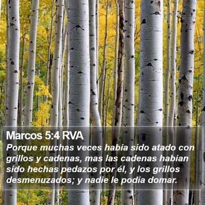 Marcos 5:4 RVA Bible Verse Image