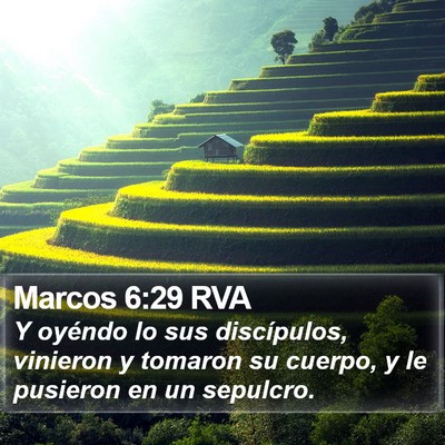 Marcos 6:29 RVA Bible Verse Image