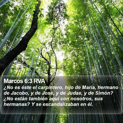 Marcos 6:3 RVA Bible Verse Image