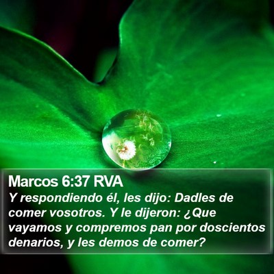 Marcos 6:37 RVA Bible Verse Image