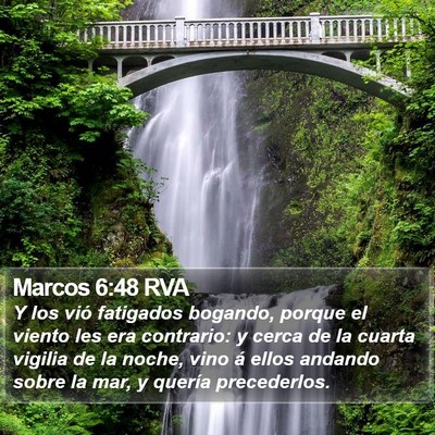 Marcos 6:48 RVA Bible Verse Image