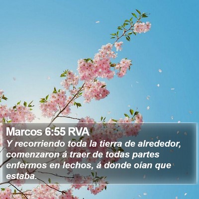 Marcos 6:55 RVA Bible Verse Image