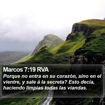 Marcos 7:19 RVA Bible Verse Image
