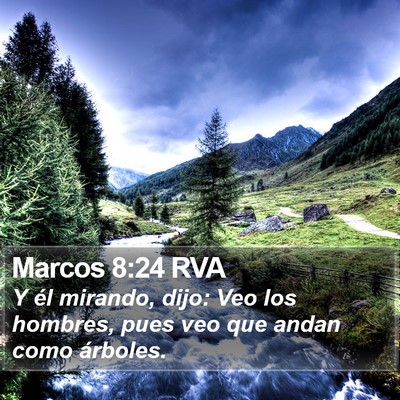 Marcos 8:24 RVA Bible Verse Image