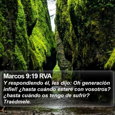 Marcos 9:19 RVA Bible Verse Image
