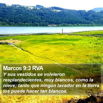 Marcos 9:3 RVA Bible Verse Image