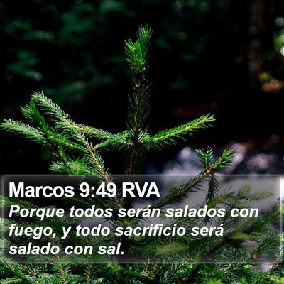 Marcos 9:49 RVA Bible Verse Image