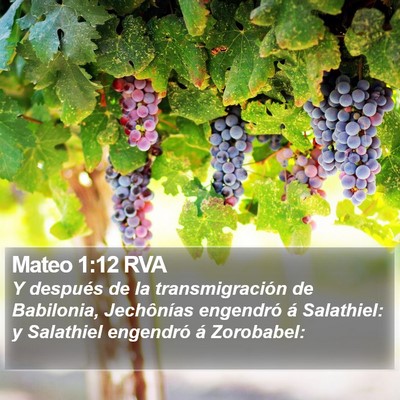 Mateo 1:12 RVA Bible Verse Image