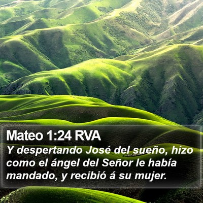 Mateo 1:24 RVA Bible Verse Image