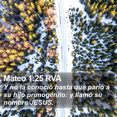 Mateo 1:25 RVA Bible Verse Image